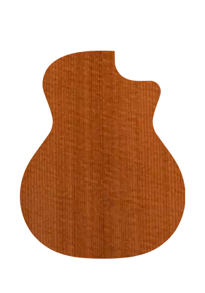 Torrefied Sitka Spruce VVS(Vintage Voicing System)